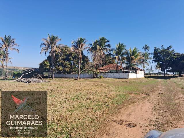 #SI0048 - Sítio para Venda em Guaimbê - SP - 1