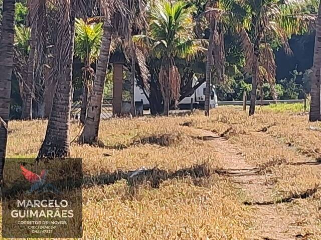 Sítio para Venda em Guaimbê - 4