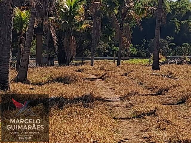 Sítio para Venda em Guaimbê - 5